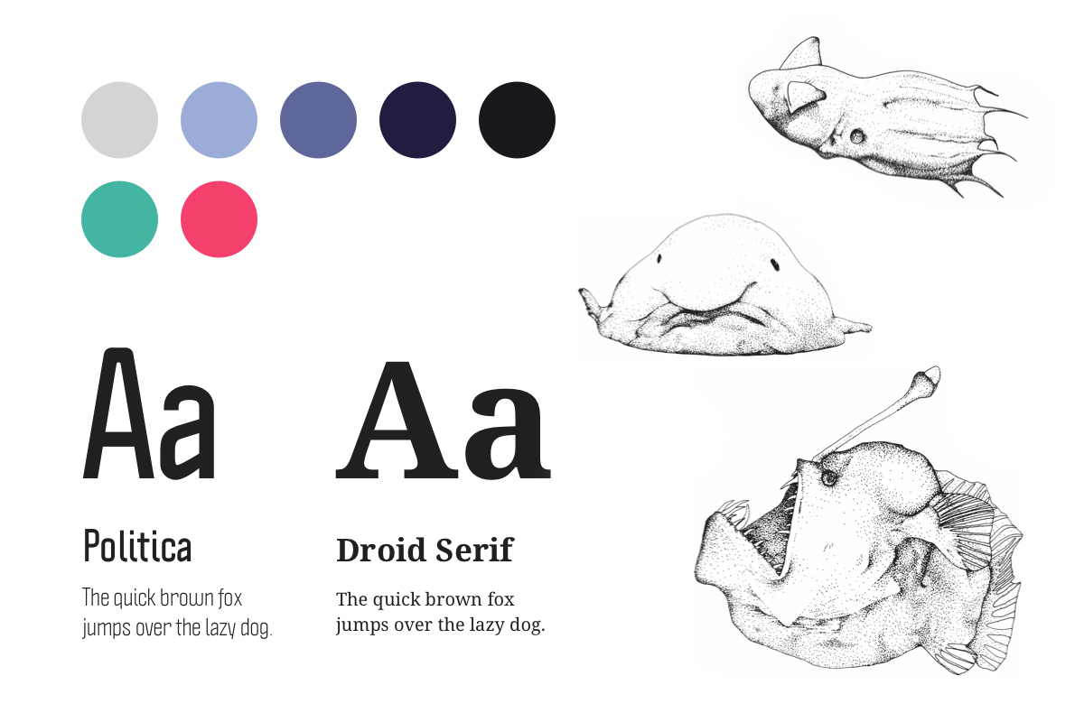 Colors, Typography, Illustration used for die-tiefsee.at